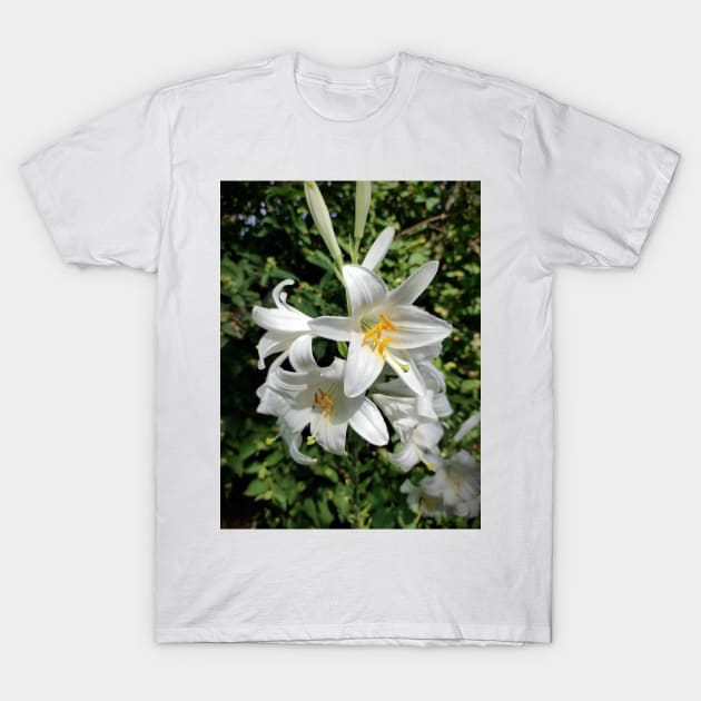 White Lily T-Shirt by Gourmetkater